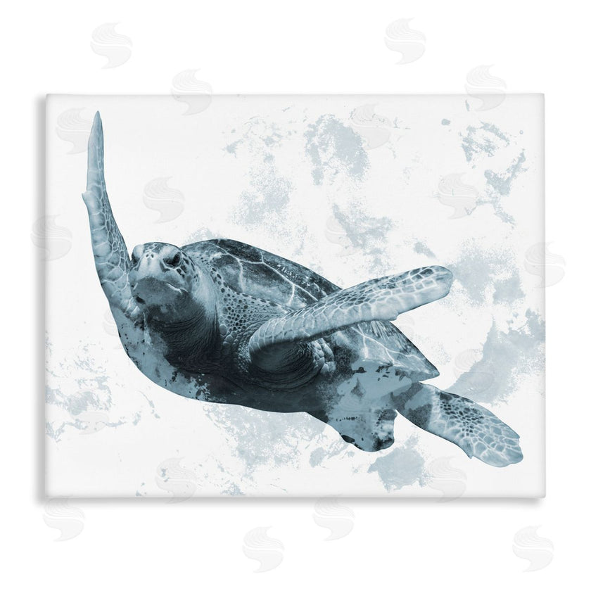 Marcus Prime | Weathered Turtle Blue Portrait