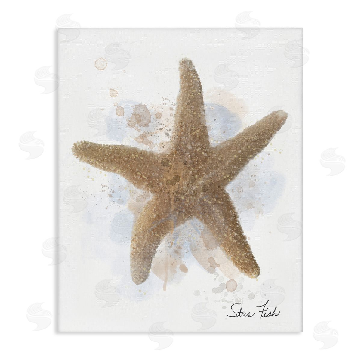 Matthew Piotrowicz Honeybloom Coastal Starfish Canvas Wall Art Print