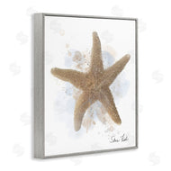 Matthew Piotrowicz | Honeybloom Coastal Starfish