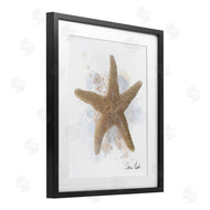 Matthew Piotrowicz | Honeybloom Coastal Starfish