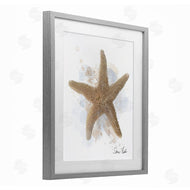 Matthew Piotrowicz | Honeybloom Coastal Starfish
