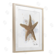 Matthew Piotrowicz | Honeybloom Coastal Starfish