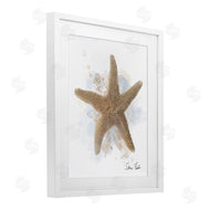 Matthew Piotrowicz | Honeybloom Coastal Starfish