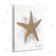 Matthew Piotrowicz | Honeybloom Coastal Starfish