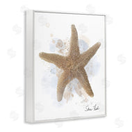 Matthew Piotrowicz | Honeybloom Coastal Starfish