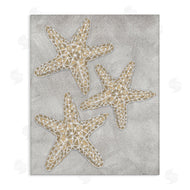 Patti Bishop | Grey Starfish Drawing