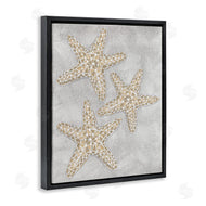 Patti Bishop | Grey Starfish Drawing