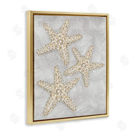 Patti Bishop | Grey Starfish Drawing