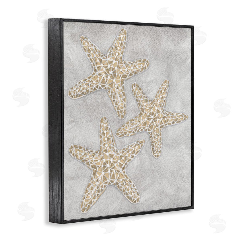 Patti Bishop | Grey Starfish Drawing
