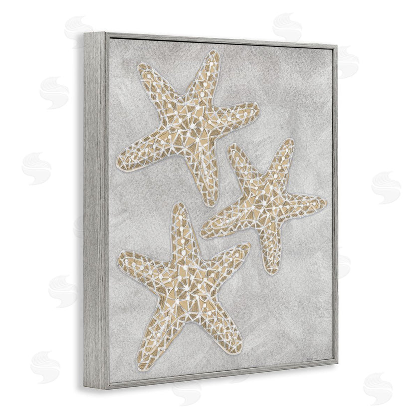 Patti Bishop | Grey Starfish Drawing