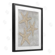 Patti Bishop | Grey Starfish Drawing