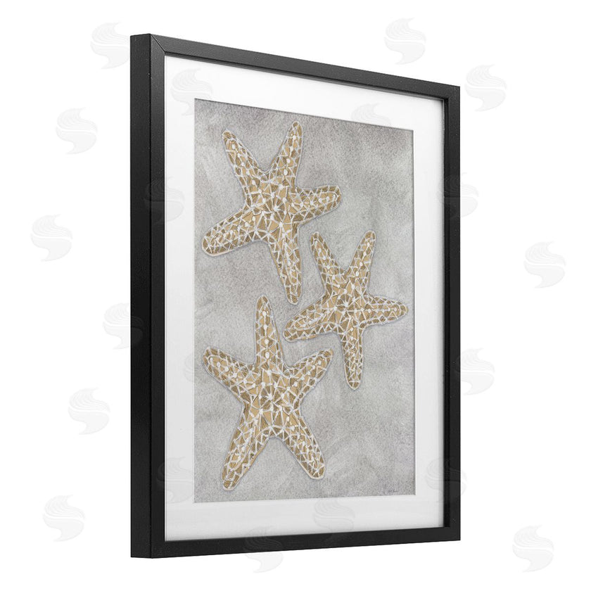 Patti Bishop | Grey Starfish Drawing