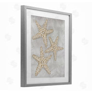 Patti Bishop | Grey Starfish Drawing