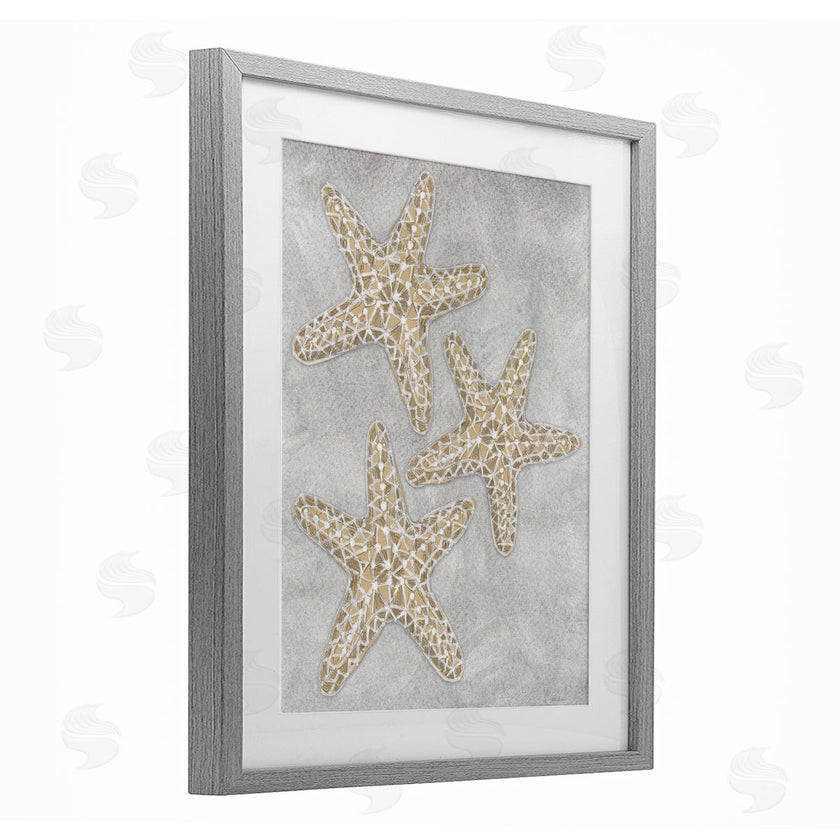 Patti Bishop | Grey Starfish Drawing