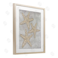 Patti Bishop | Grey Starfish Drawing