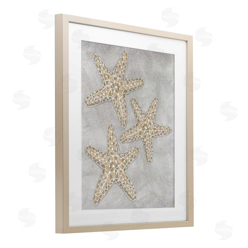 Patti Bishop | Grey Starfish Drawing