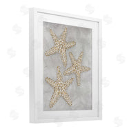 Patti Bishop | Grey Starfish Drawing
