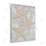 Patti Bishop | Grey Starfish Drawing