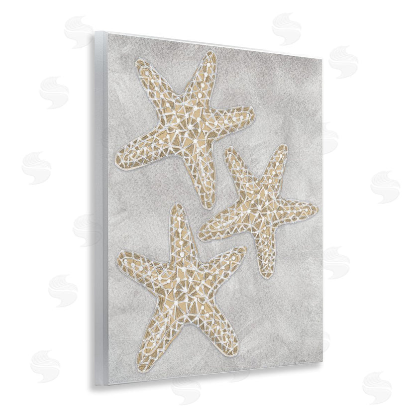 Patti Bishop | Grey Starfish Drawing