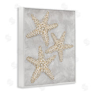 Patti Bishop | Grey Starfish Drawing