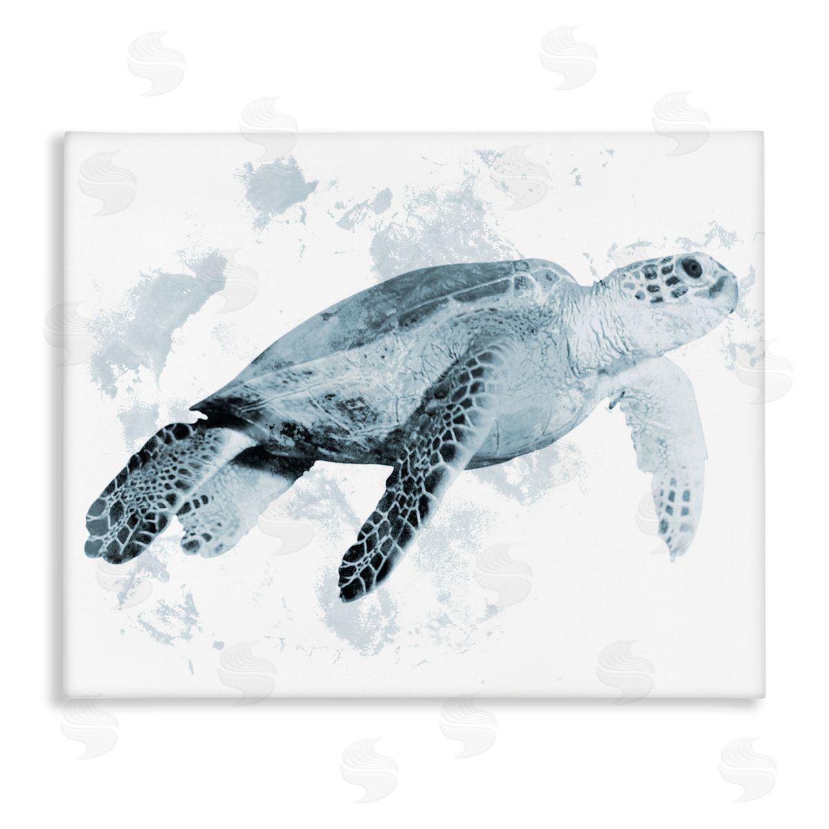 Marcus Prime Weathered Sea Turtle Canvas Wall Art Print