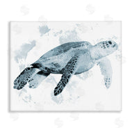 Marcus Prime | Weathered Sea Turtle
