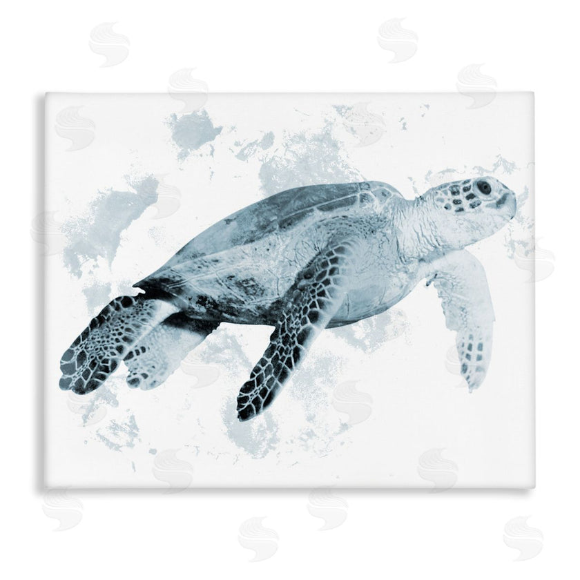 Marcus Prime | Weathered Sea Turtle
