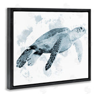 Marcus Prime | Weathered Sea Turtle