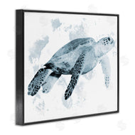 Marcus Prime | Weathered Sea Turtle