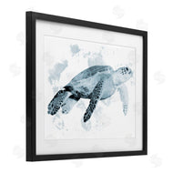 Marcus Prime | Weathered Sea Turtle