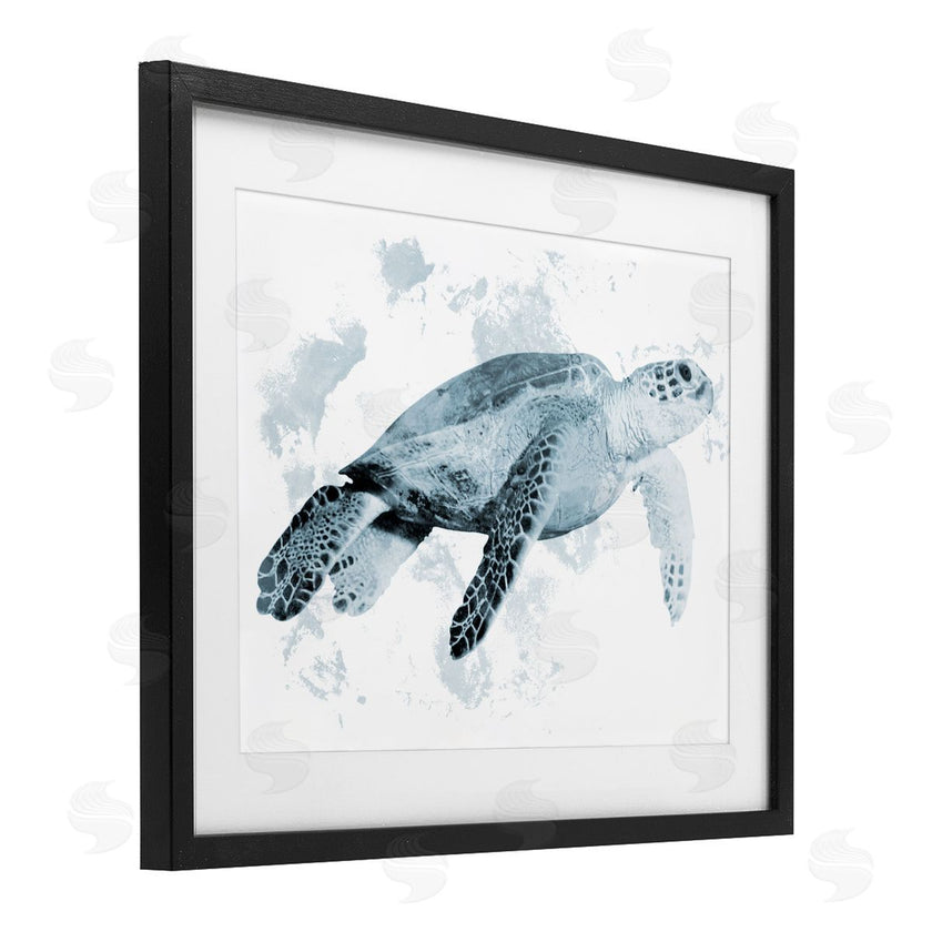 Marcus Prime | Weathered Sea Turtle