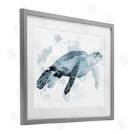 Marcus Prime | Weathered Sea Turtle