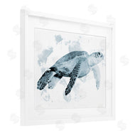 Marcus Prime | Weathered Sea Turtle