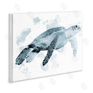 Marcus Prime | Weathered Sea Turtle