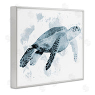 Marcus Prime | Weathered Sea Turtle