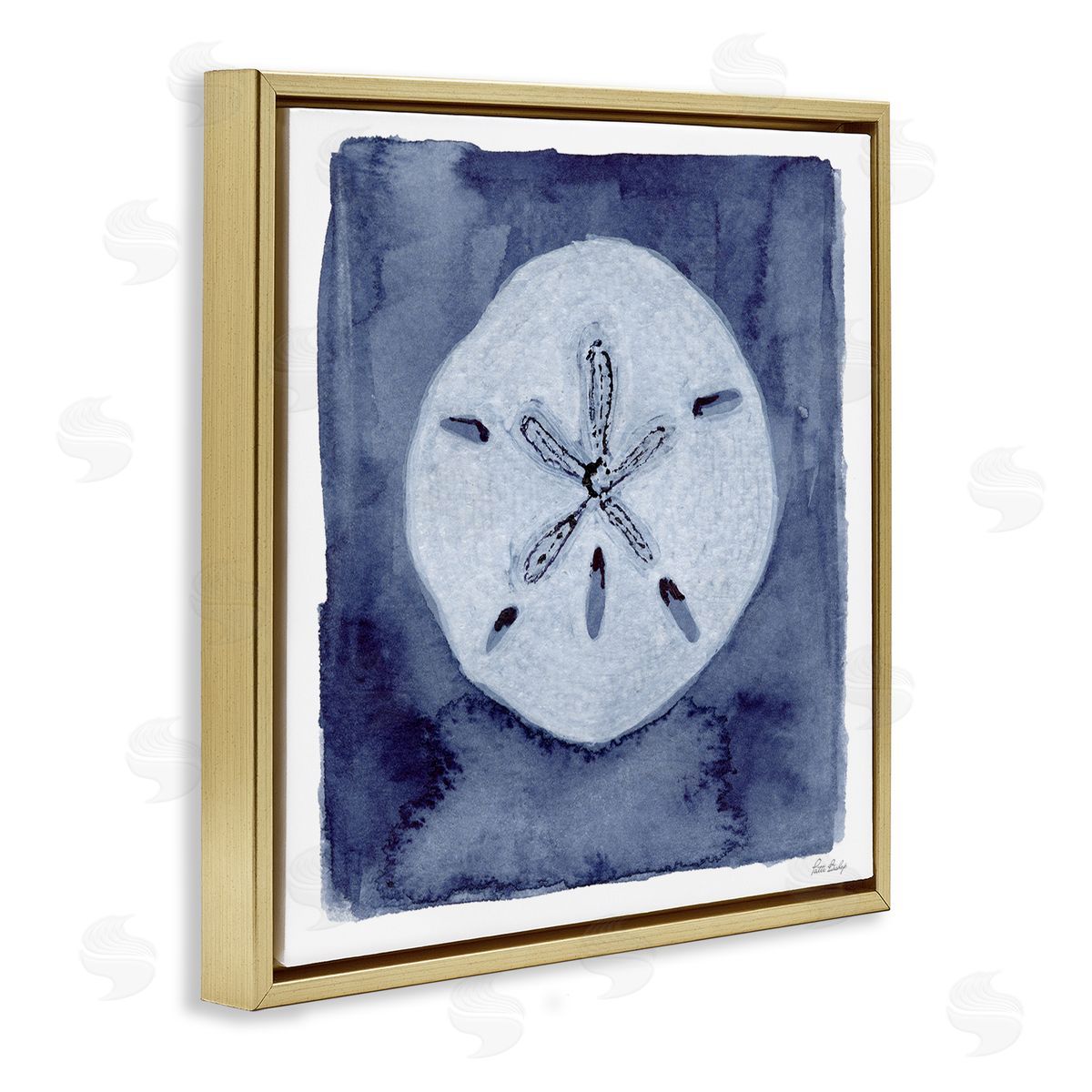 Patti Bishop Sand Dollar over Indigo Canvas Wall Art Print