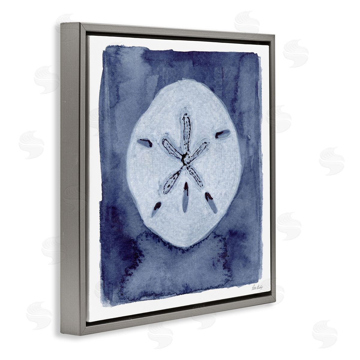 Patti Bishop Sand Dollar over Indigo Canvas Wall Art Print