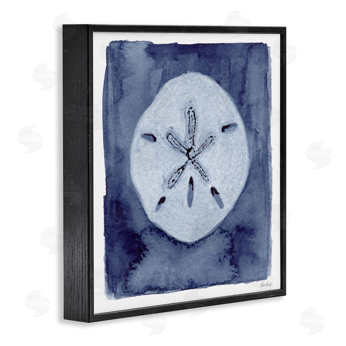 Patti Bishop Sand Dollar over Indigo Canvas Wall Art Print