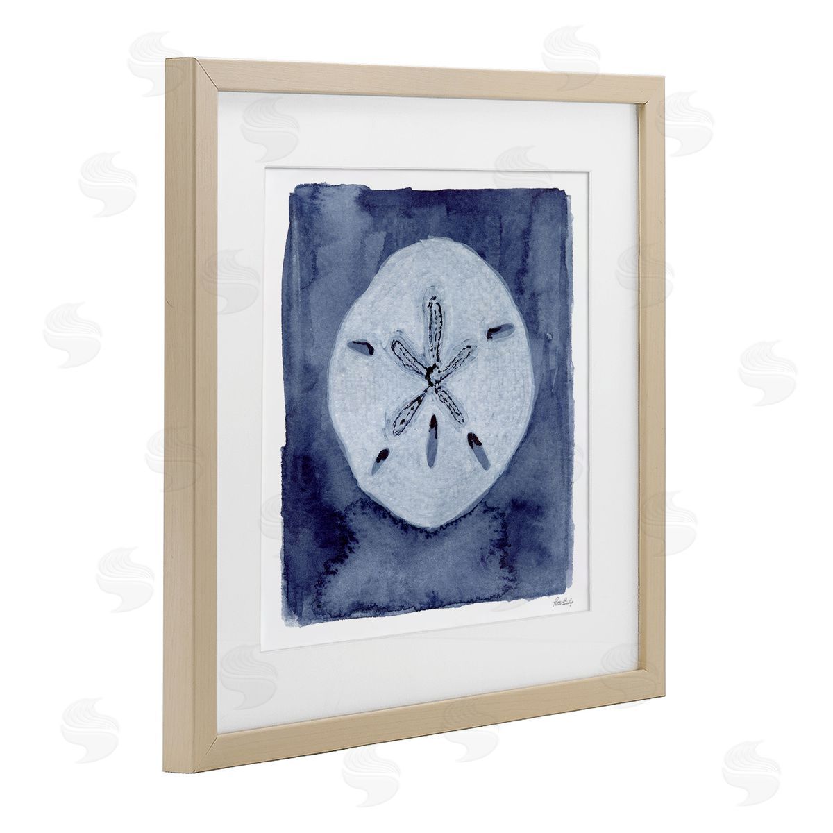 Patti Bishop Sand Dollar over Indigo Canvas Wall Art Print
