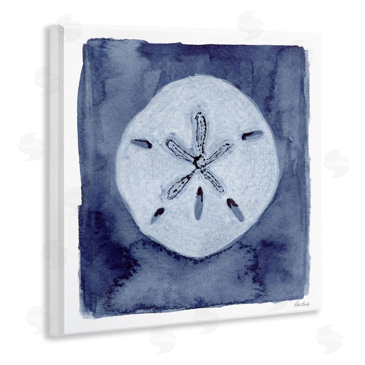 Patti Bishop Sand Dollar over Indigo Canvas Wall Art Print