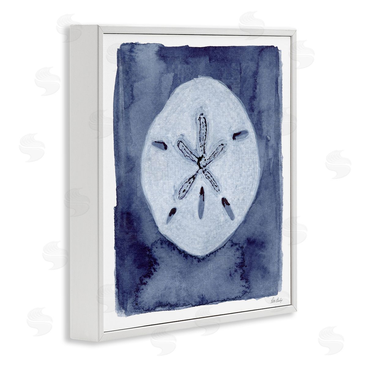 Patti Bishop Sand Dollar over Indigo Canvas Wall Art Print