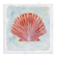 Patti Bishop | Peach Scallop Shell