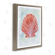 Patti Bishop | Peach Scallop Shell