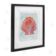 Patti Bishop | Peach Scallop Shell
