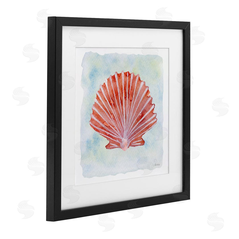 Patti Bishop | Peach Scallop Shell