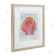 Patti Bishop | Peach Scallop Shell