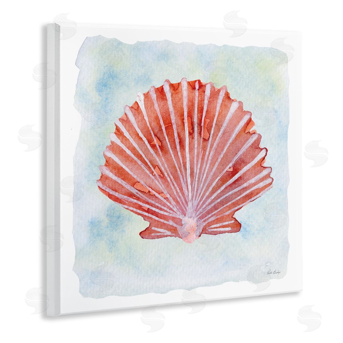 Patti Bishop Peach Scallop Shell Canvas Wall Art Print