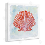 Patti Bishop | Peach Scallop Shell