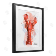 Matthew Piotrowicz | Coastal Seafood Lobster