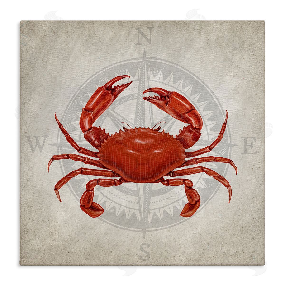 Kim Allen | Red Crab over Compass